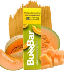Melon Smoothie