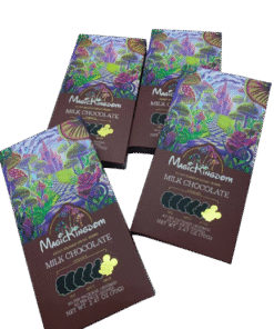 Magic Kingdom Chocolate Bar